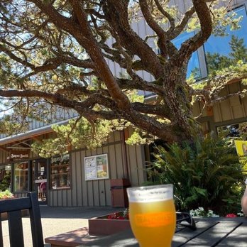Beachcrest - IPA - Beer Bar Near Me - Gleneden Beach, Oregon