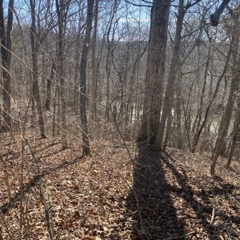 Serpent Mound - View from trail - Landmarks & Historical Buildings Near Me - Peebles, Ohio