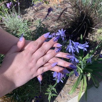 Nails By Anaya - Freestyle - Nail Technicians Near Me