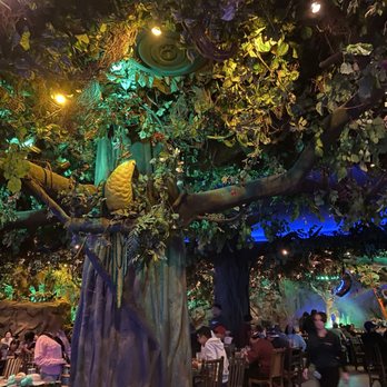 Rainforest Cafe - American Near Me - Ontario, California Rainforest Cafe - American Near Me - Ontario, California