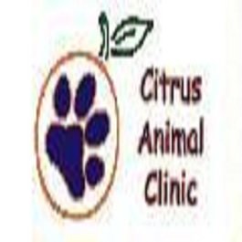 Citrus Animal Clinic Image