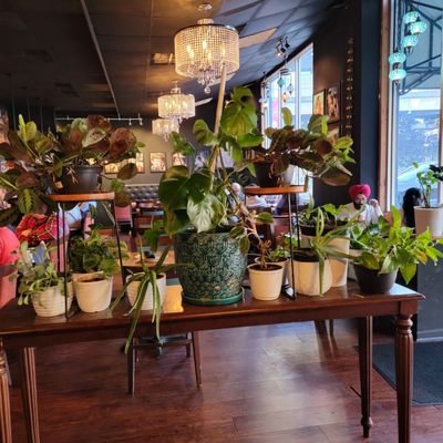 Aroma Indian Cuisine, Downtown by null