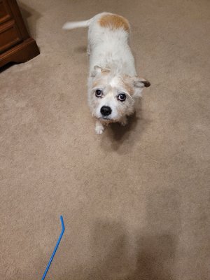 David Stiff Photography