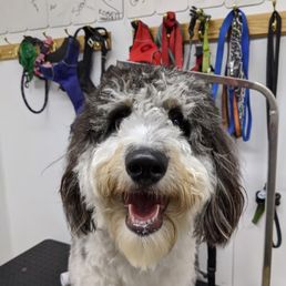 Before her haircut