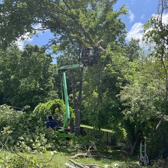 Southland Tree Service - Tree Services Near Me - Greeneville, Tennessee Southland Tree Service - Tree Services Near Me - Greeneville, Tennessee