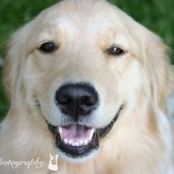 Alpenglo Designs - Bella Photography