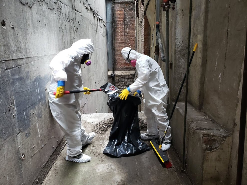 Discount Mold Removal Mission Viejo - mold inspector in Mission Viejo, CA