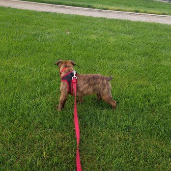 Morse Dog Park - Dog Parks Near Me - Elk Grove, California