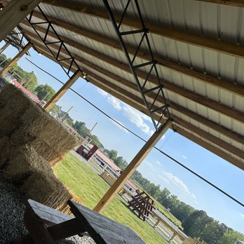 Dampf Good BBQ - Barbeque Near Me - Cary, North Carolina