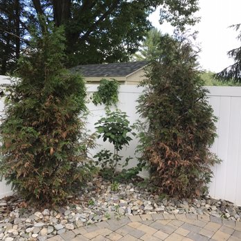 Ryback Landscaping - Landscape Architects or Designers Near Me - Hampton, New Jersey