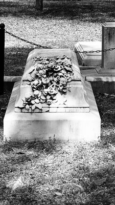 Bonaventure Cemetery by null