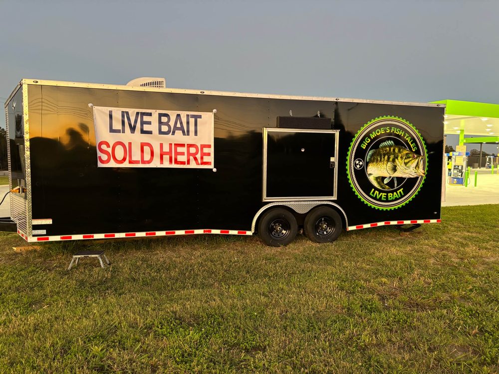Big Moe's Fish Tales Logo