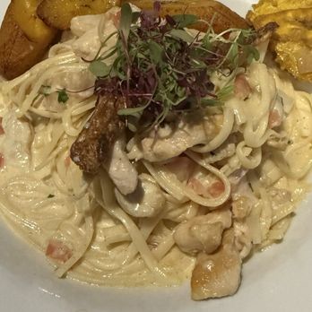 Capriccio Trattoria - Chicken Alfredo - Italian Near Me - Rincon, Puerto Rico