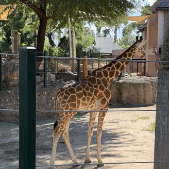 Reid Park Zoo - Zoos Near Me - Tucson, Arizona Reid Park Zoo - Zoos Near Me - Tucson, Arizona