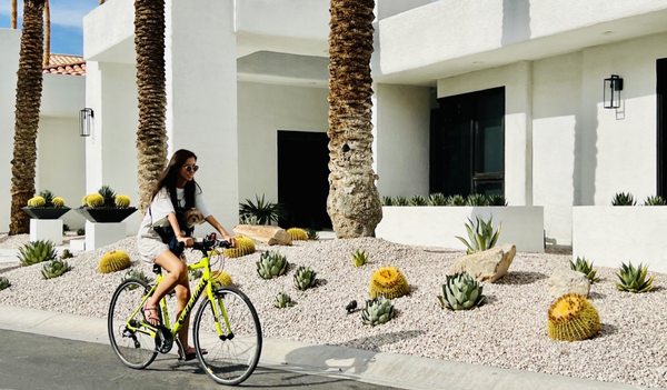 Visualized Landscape by null