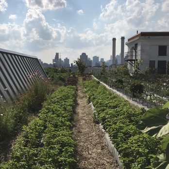 Brooklyn Grange Farm & Farmstand - Rooftop - Farmers Market Near Me - Brooklyn, New York Brooklyn Grange Farm & Farmstand - Rooftop - Farmers Market Near Me - Brooklyn, New York