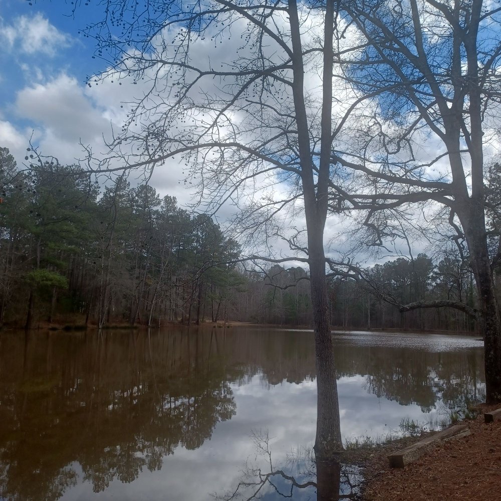 LAKE FLOVILLA PARK Updated September 2024 Beaty Cir, Flovilla