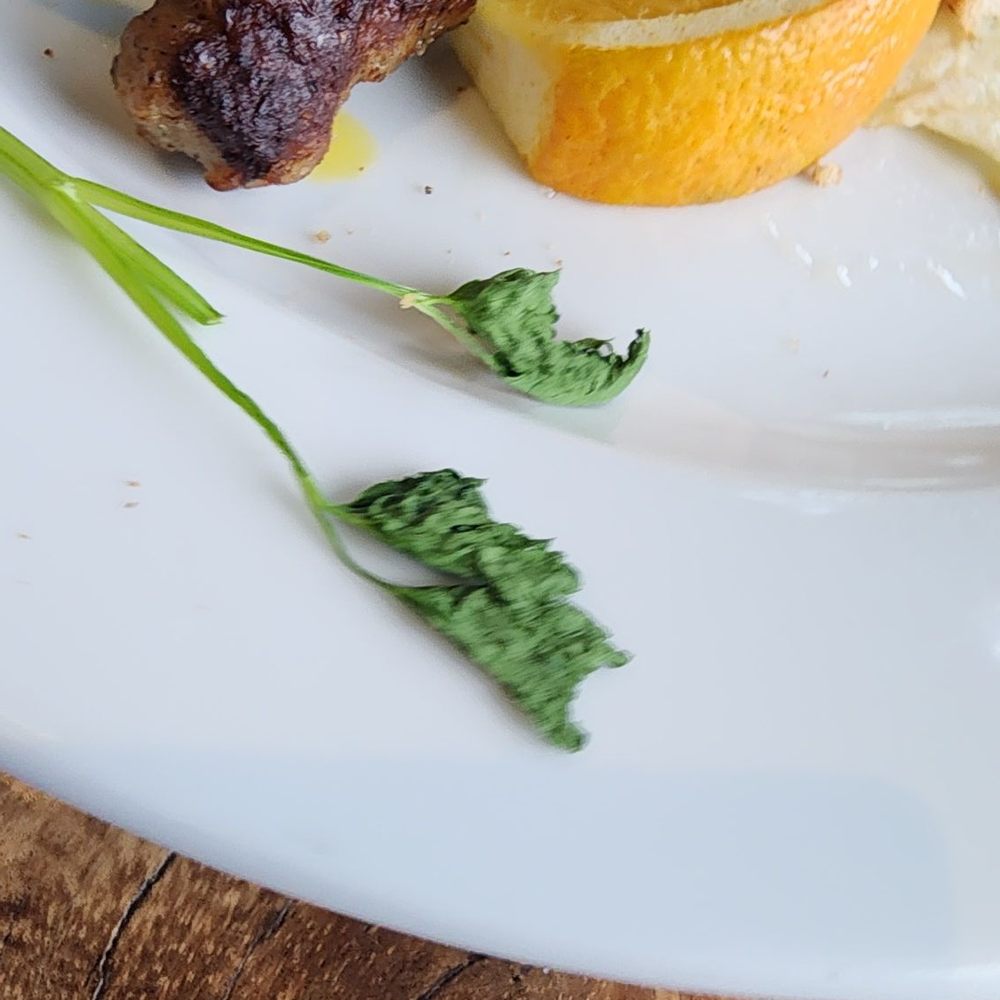 River's Edge Grill and Bar - wilted parsley garnish.. why put it on the plate? - American Near Me - Loleta, California River's Edge Grill and Bar - wilted parsley garnish.. why put it on the plate? - American Near Me - Loleta, California