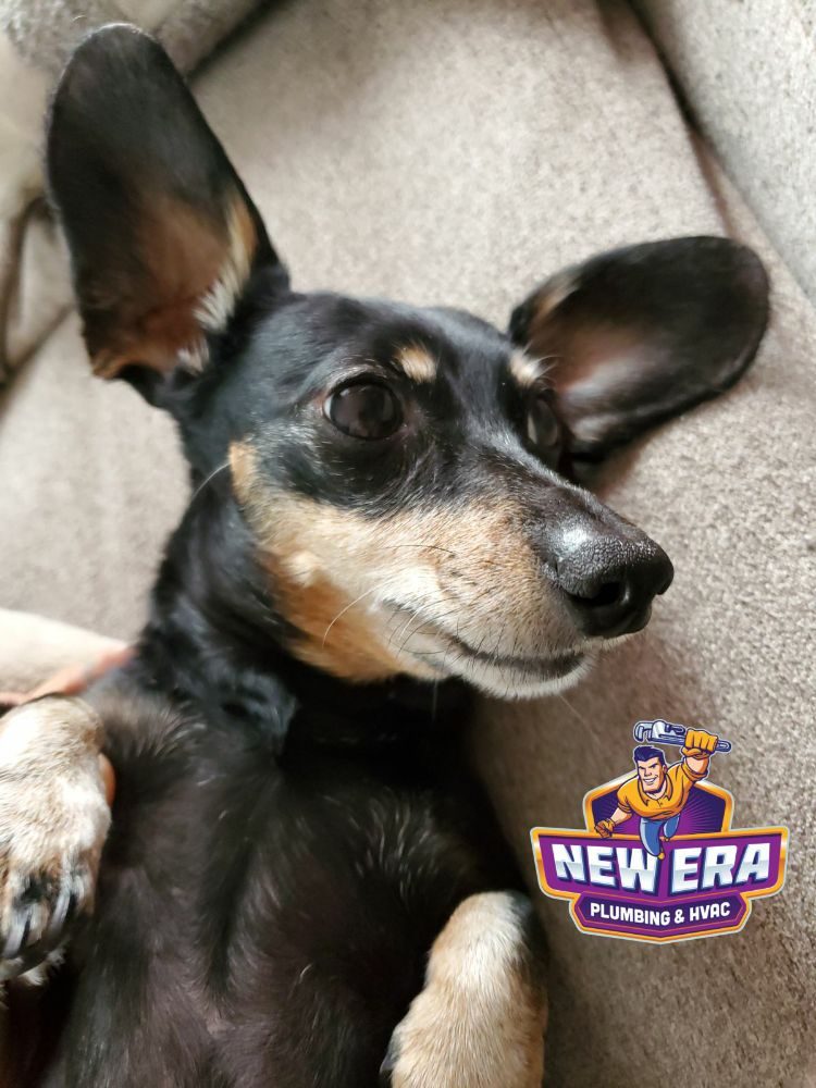 Slide of New Era Plumbing & HVAC