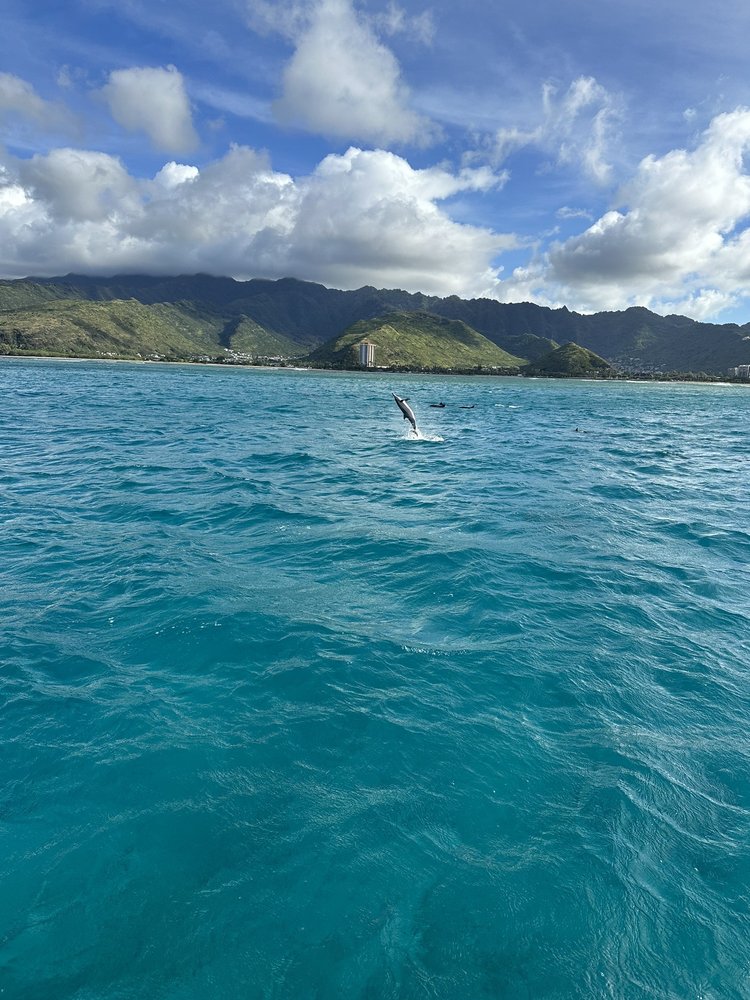 ISLAND DIVERS HAWAII 377 Keahole St, Honolulu, Hawaii Scuba Diving