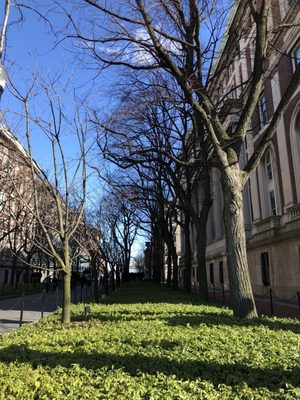 Columbia University by null