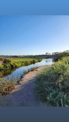Upper Newport Bay Nature Preserve by null