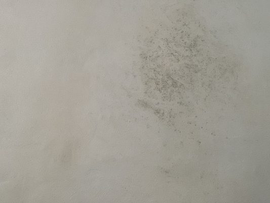 Hotel Posada del Mar by null