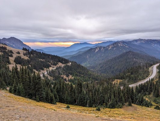 Hurricane Ridge by null
