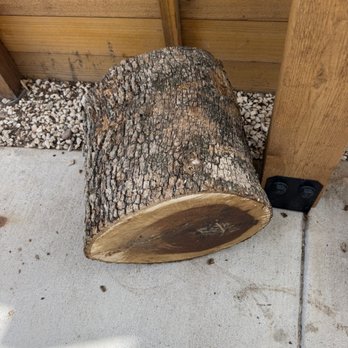 Carlo’s Tree Service - Cut logs - Tree Services Near Me - Austin, Texas Carlo’s Tree Service - Cut logs - Tree Services Near Me - Austin, Texas