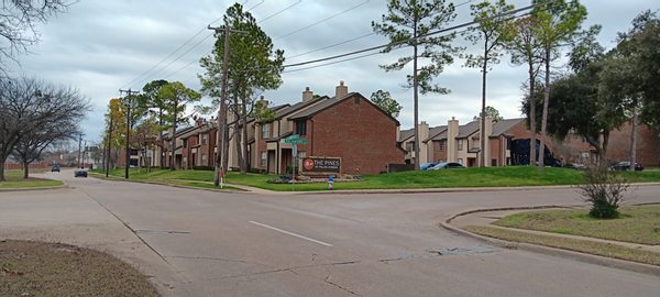 The Pines of Palos Verdes