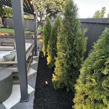Legacy Landscape CA - Installation of trees, mulch, lighting. - Masonry/Concrete Near Me - Richmond, California