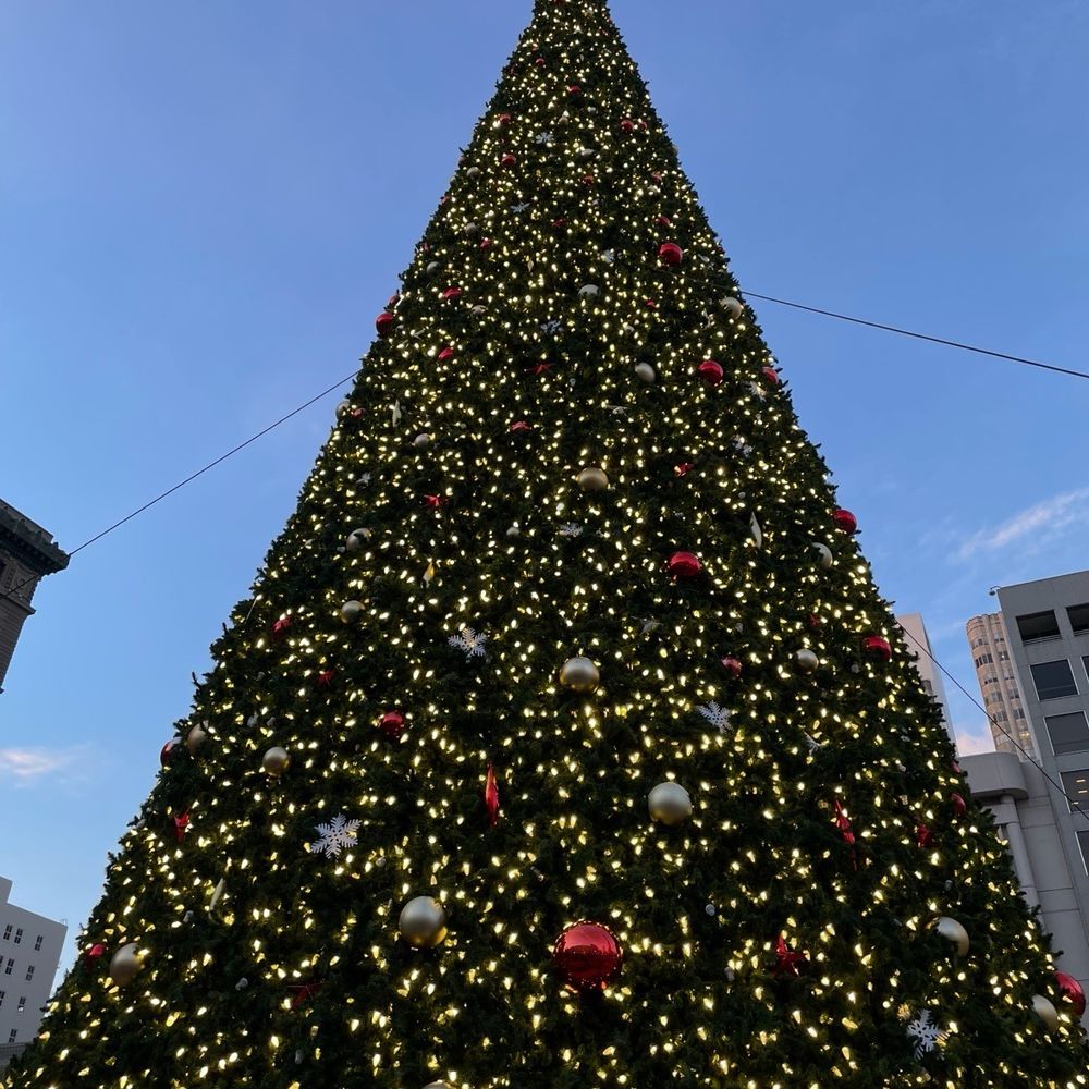 Union Square - Massive tree with a Bird Flying thru - Shopping Centers Near Me - San Francisco, California Union Square - Massive tree with a Bird Flying thru - Shopping Centers Near Me - San Francisco, California