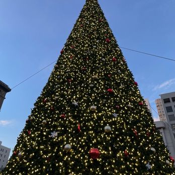 Union Square - Massive tree with a Bird Flying thru - Shopping Centers Near Me - San Francisco, California Union Square - Massive tree with a Bird Flying thru - Shopping Centers Near Me - San Francisco, California