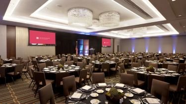 The Alexander by null