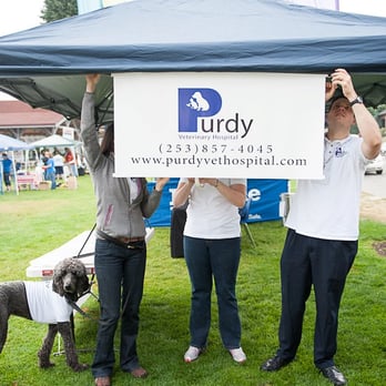 Purdy Veterinary Hospital - Harbor Hounds '12 - Veterinarians Near Me - Gig Harbor, Washington Purdy Veterinary Hospital - Harbor Hounds '12 - Veterinarians Near Me - Gig Harbor, Washington