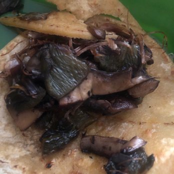 Kalaveras - Hangos Tacos prepared in the most disrespectful way and delivered. - Latin American Near Me - San Pedro, California Kalaveras - Hangos Tacos prepared in the most disrespectful way and delivered. - Latin American Near Me - San Pedro, California