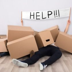 Acta Non Verba - We are here to help;