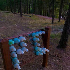 ELEPHANT ROCK GOLF COURSE Updated May 2025 33 Photos 39 Reviews