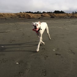 Pacific Beach State Park