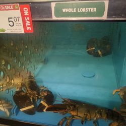 Thrifty Foods