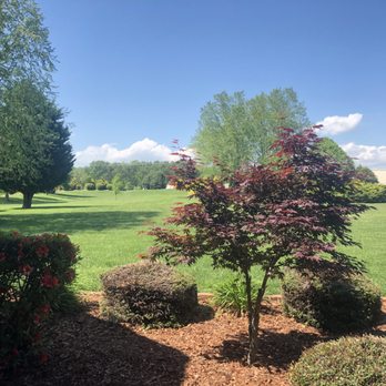Weed Man - Early spring after a year with Weed Man - Pest Control Near Me - Denver, North Carolina Weed Man - Early spring after a year with Weed Man - Pest Control Near Me - Denver, North Carolina