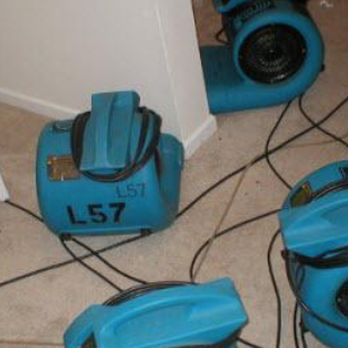Magna-Dry - Water Damage Restoration Experts! Available 24/7/365 - Carpet Cleaning Near Me - Lafayette, Indiana Magna-Dry - Water Damage Restoration Experts! Available 24/7/365 - Carpet Cleaning Near Me - Lafayette, Indiana