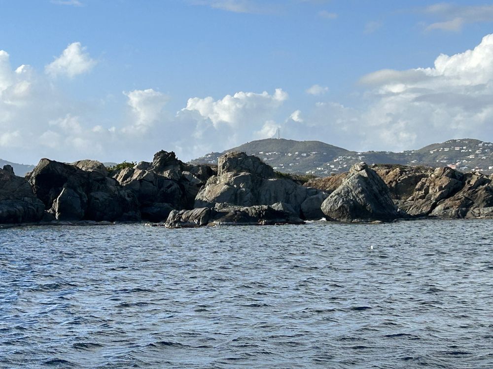 Local Mocean Charters Logo