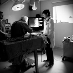 The Cross Lanes Veterinary Hospital - Dr. Warner observing Dr. McNeel during surgery.