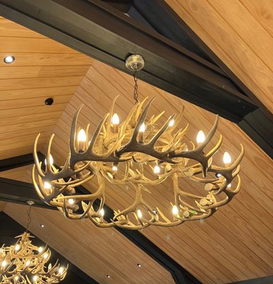 Wild Estate - The Untamed Winery by null