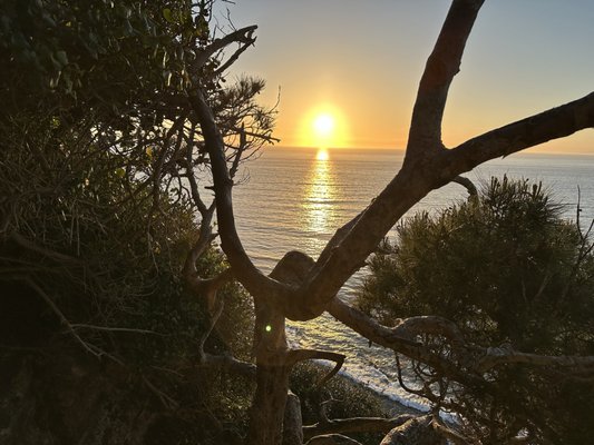 Palos Verdes Estates Shoreline Preserve by null