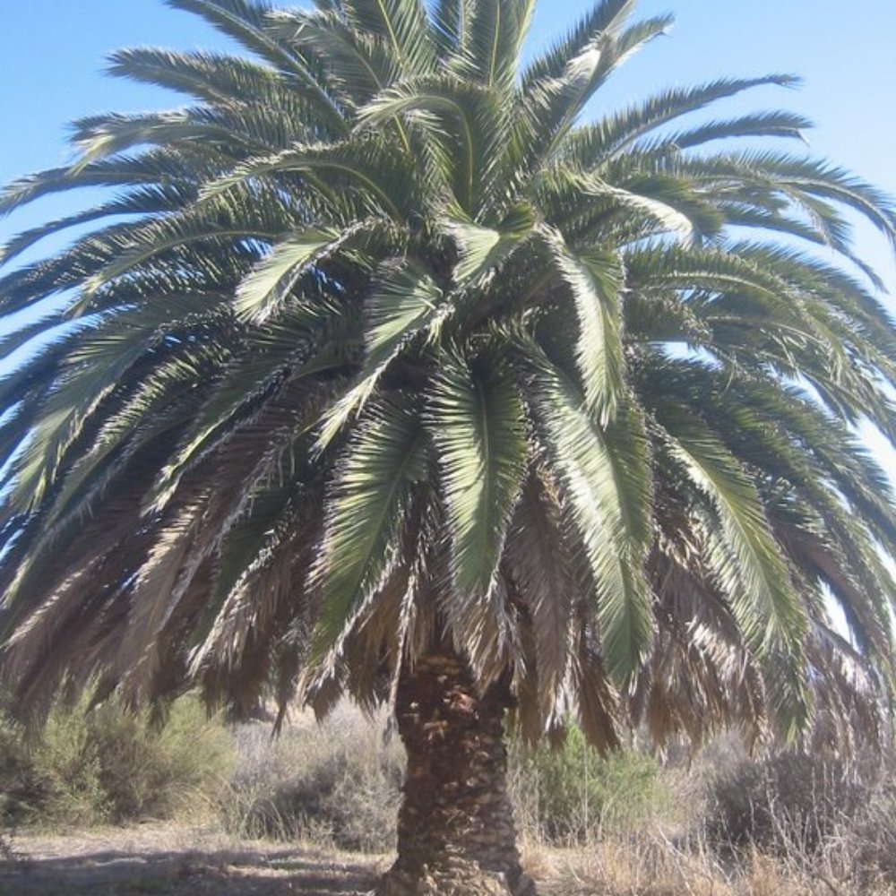 White Point Nature Preserve - Parks Near Me - San Pedro, California