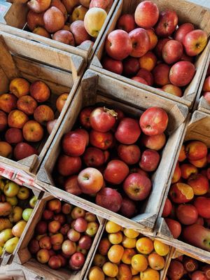 Thompson's Cider Mill and Orchard by null