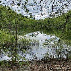 Nature Conservancy - Devil's Den Preserve - Lake