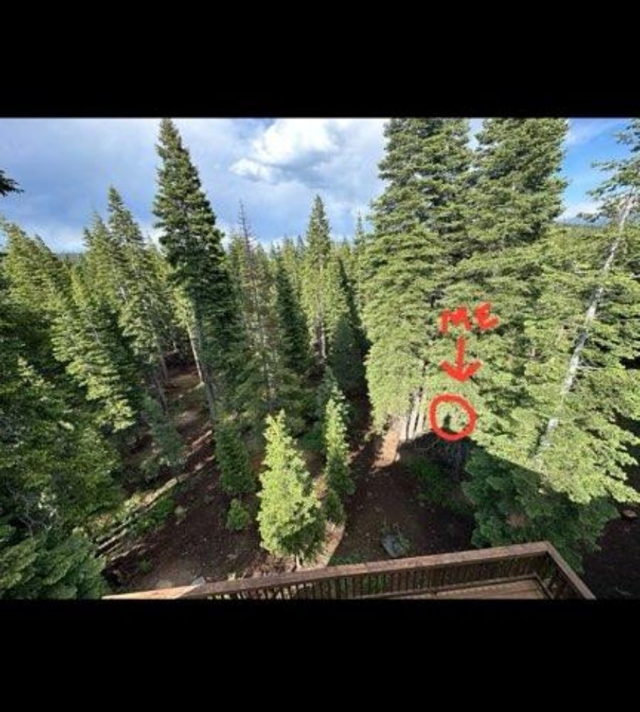 Slide of Sendit Roof Repair